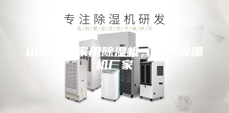 山東濟南家用除濕機，生產除濕機廠家