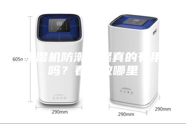 除濕機(jī)防潮除濕真的有用嗎？看你放哪里