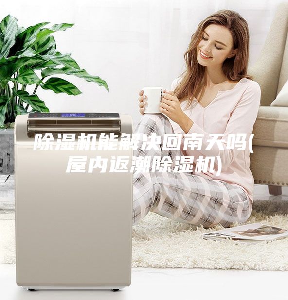 除濕機能解決回南天嗎(屋內返潮除濕機)