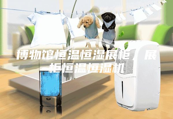 博物館恒溫恒濕展柜，展柜恒溫恒濕機