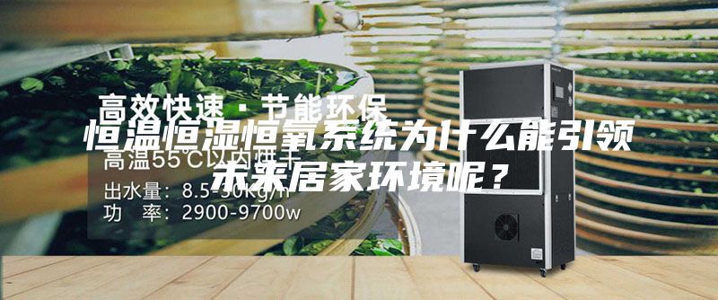 恒溫恒濕恒氧系統為什么能引領未來居家環境呢？