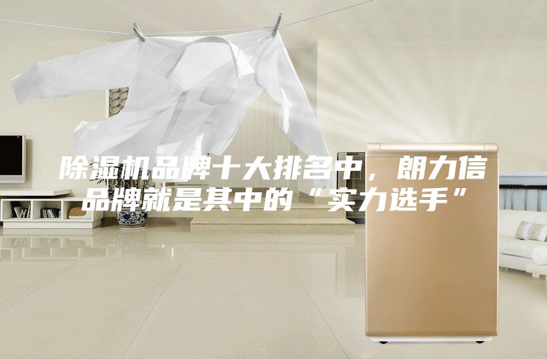 除濕機(jī)品牌十大排名中，朗力信品牌就是其中的“實(shí)力選手”