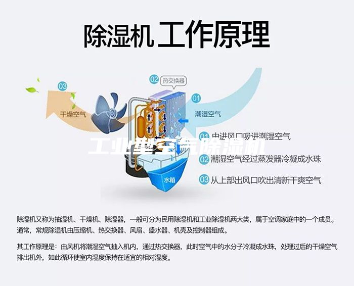 工業(yè)型空氣除濕機(jī)