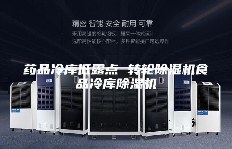 藥品冷庫低露點 轉(zhuǎn)輪除濕機食品冷庫除濕機