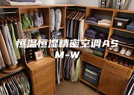 恒溫恒濕精密空調(diào)ASM-W