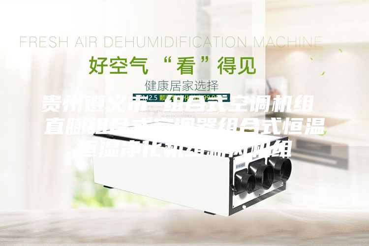 貴州遵義市 組合式空調(diào)機組 直膨組合式空調(diào)器組合式恒溫恒濕凈化機組新風機組