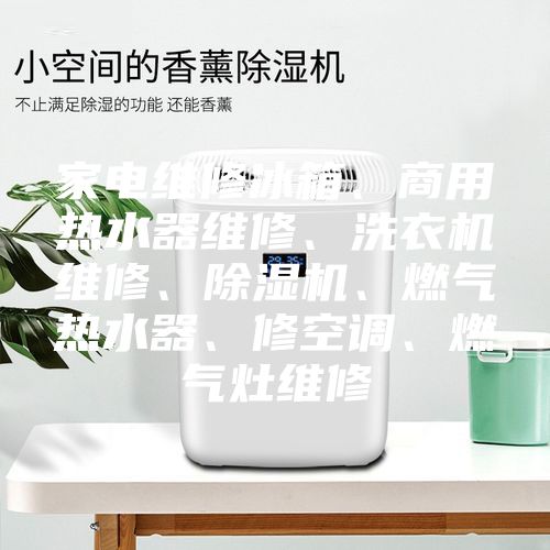家電維修冰箱、商用熱水器維修、洗衣機(jī)維修、除濕機(jī)、燃?xì)鉄崴鳌⑿蘅照{(diào)、燃?xì)庠罹S修