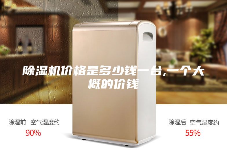 除濕機(jī)價格是多少錢一臺,一個大概的價錢