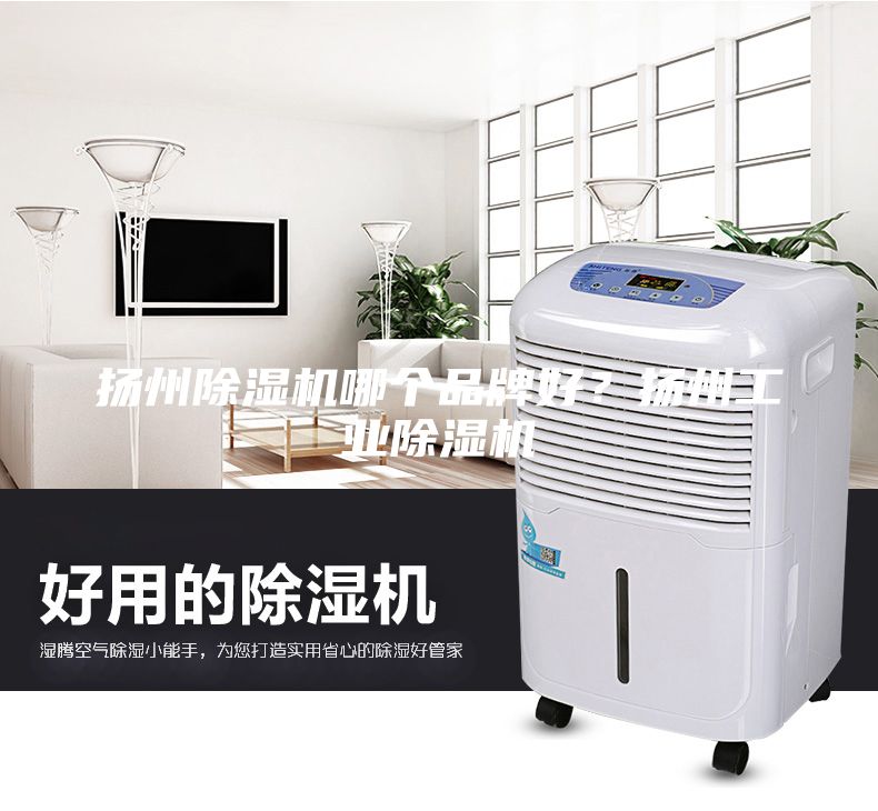 揚(yáng)州除濕機(jī)哪個(gè)品牌好？揚(yáng)州工業(yè)除濕機(jī)