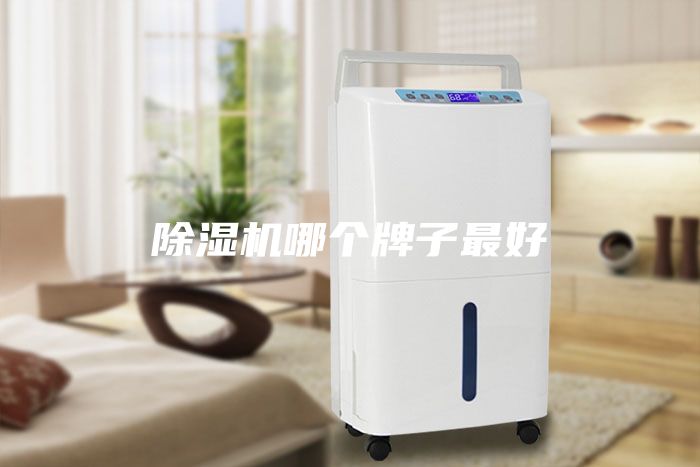 除濕機哪個牌子最好