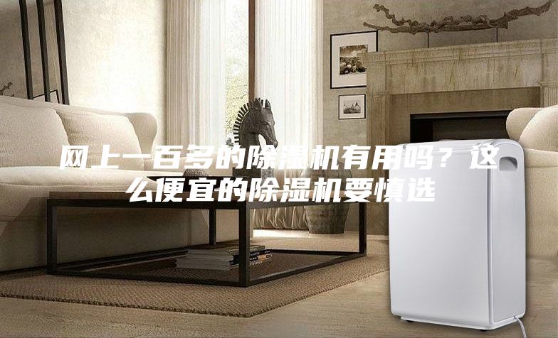 網上一百多的除濕機有用嗎？這么便宜的除濕機要慎選