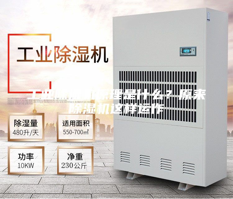 工業(yè)除濕機(jī)原理是什么？原來除濕機(jī)這樣運(yùn)作