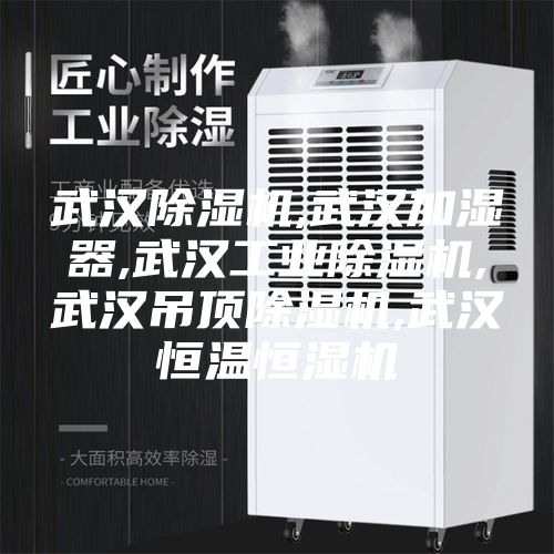 武漢除濕機(jī),武漢加濕器,武漢工業(yè)除濕機(jī),武漢吊頂除濕機(jī),武漢恒溫恒濕機(jī)
