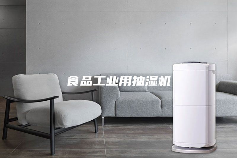 食品工業(yè)用抽濕機