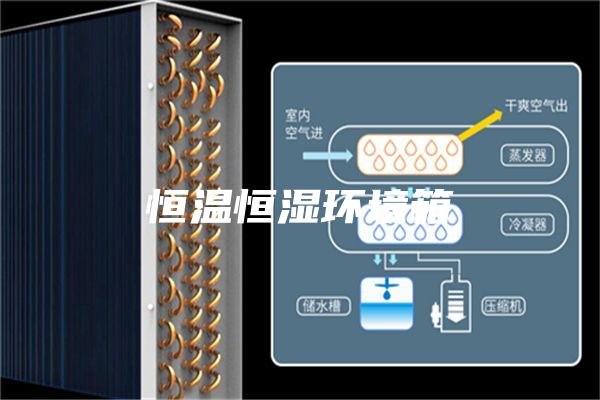 恒溫恒濕環境箱