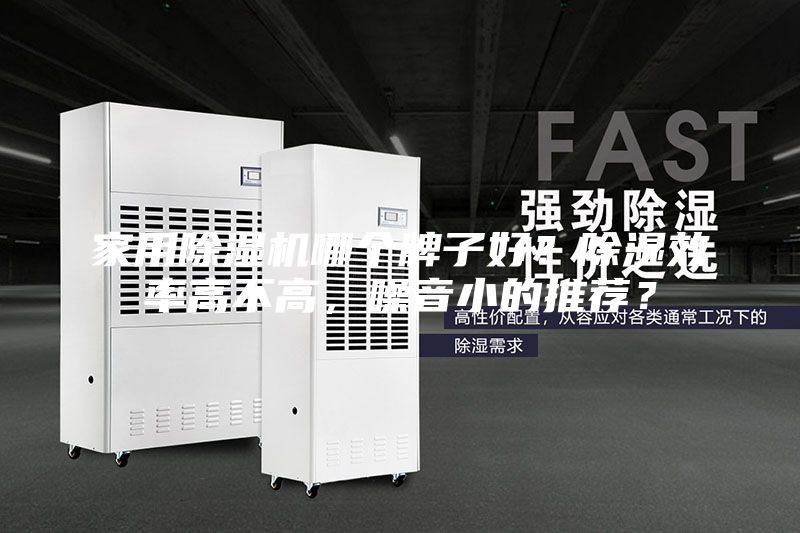 家用除濕機(jī)哪個(gè)牌子好？除濕效率高不高，噪音小的推薦？