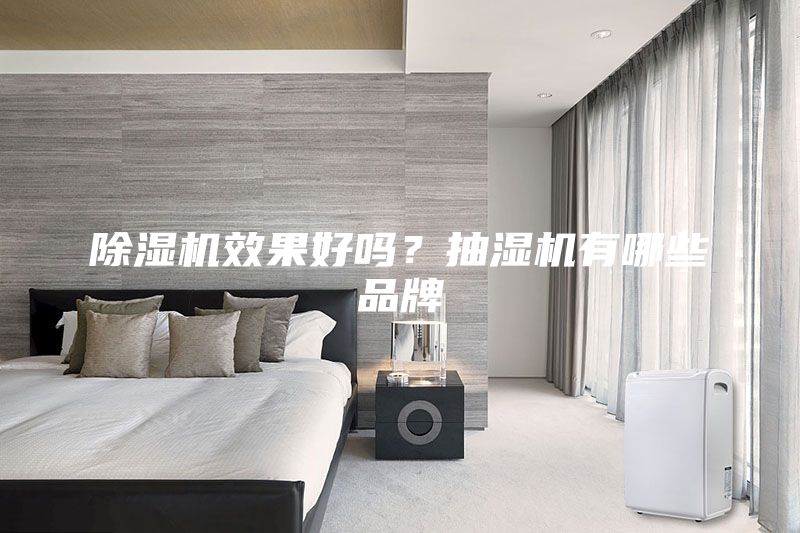 除濕機效果好嗎？抽濕機有哪些品牌