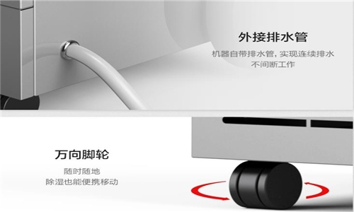 地下室潮濕頑疾，除濕機到即刻除