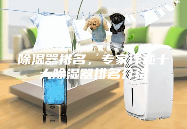 除濕器排名，專家詳述十大除濕器排名介紹