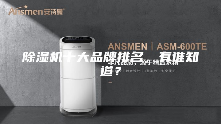 除濕機十大品牌排名，有誰知道？