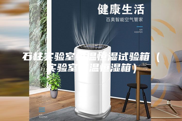 石柱實驗室恒溫恒濕試驗箱（實驗室恒溫恒濕箱）