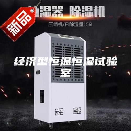 經濟型恒溫恒濕試驗室