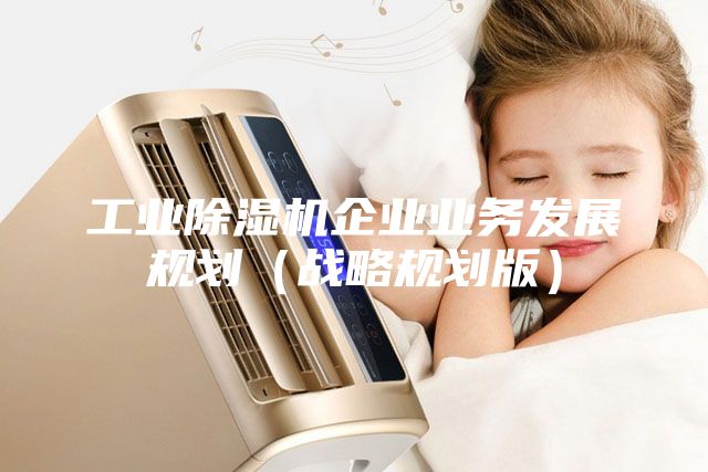 工業(yè)除濕機企業(yè)業(yè)務發(fā)展規(guī)劃（戰(zhàn)略規(guī)劃版）