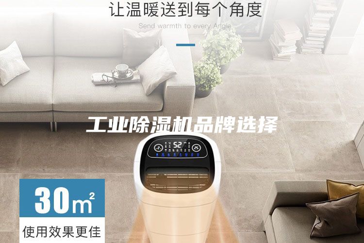工業(yè)除濕機(jī)品牌選擇
