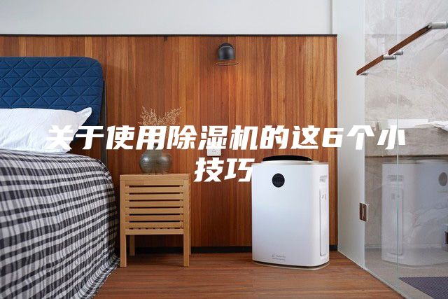 關(guān)于使用除濕機(jī)的這6個小技巧
