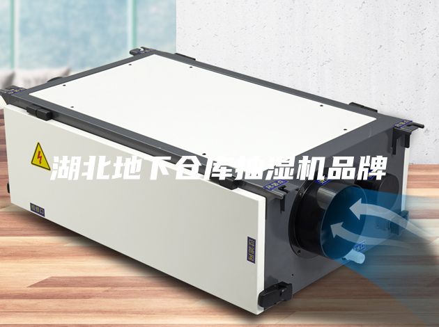 湖北地下倉(cāng)庫(kù)抽濕機(jī)品牌