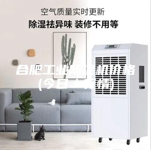 合肥工業(yè)除濕機(jī)價格(今日／行情)