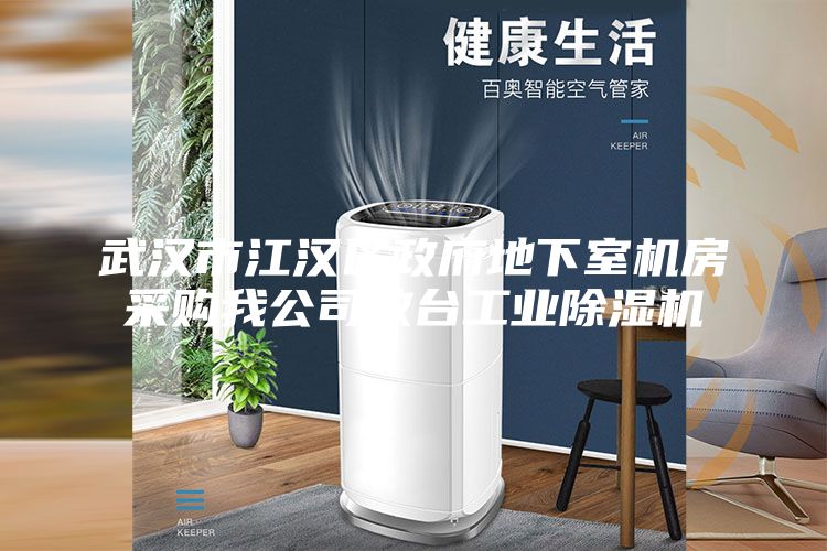 武漢市江漢區(qū)政府地下室機(jī)房采購(gòu)我公司數(shù)臺(tái)工業(yè)除濕機(jī)