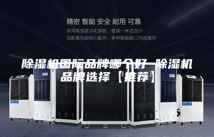 除濕機(jī)國(guó)際品牌哪個(gè)好 除濕機(jī)品牌選擇【推薦】