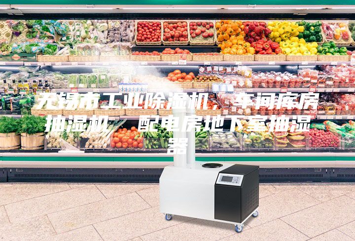 無錫市工業除濕機，車間庫房抽濕機  配電房地下室抽濕器