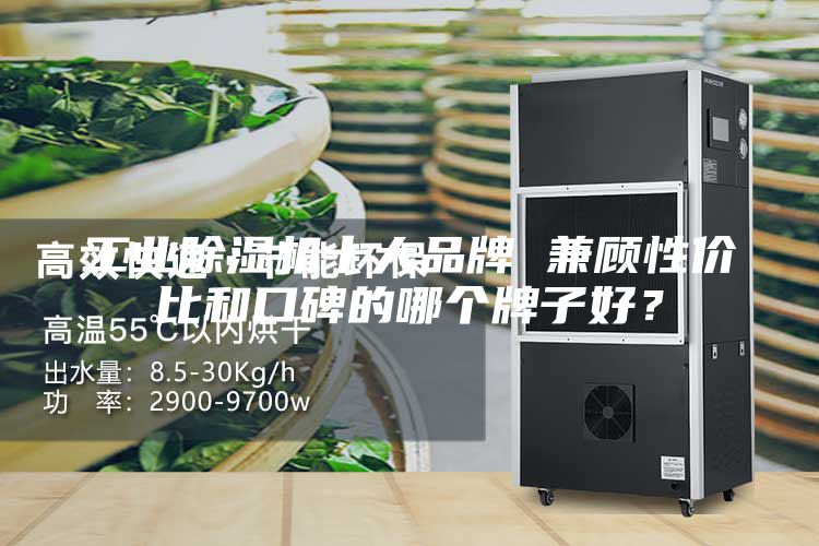 工業(yè)除濕機(jī)十大品牌 兼顧性價(jià)比和口碑的哪個(gè)牌子好？