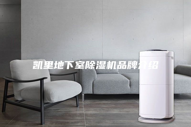凱里地下室除濕機品牌介紹