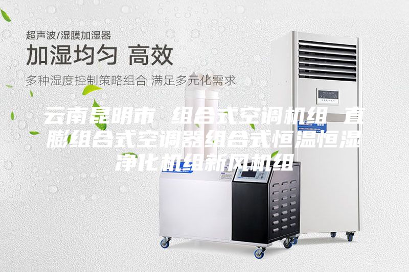 云南昆明市 組合式空調機組 直膨組合式空調器組合式恒溫恒濕凈化機組新風機組