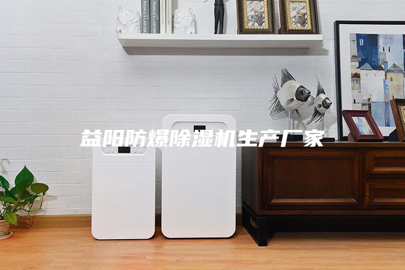 益陽(yáng)防爆除濕機(jī)生產(chǎn)廠家