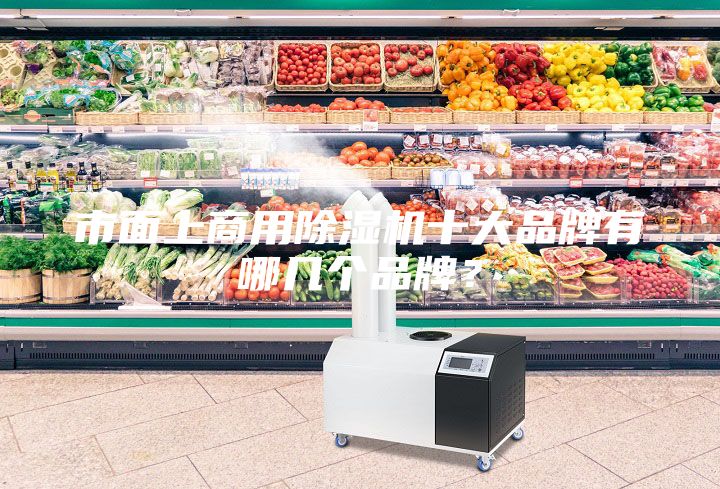 市面上商用除濕機(jī)十大品牌有哪幾個(gè)品牌？