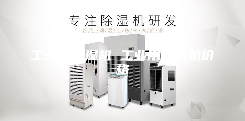 工業(yè)用除濕機 工業(yè)用除濕機價格