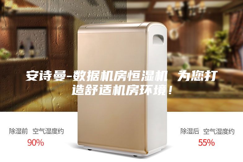 安詩曼-數據機房恒濕機 為您打造舒適機房環(huán)境！