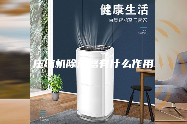 壓縮機(jī)除濕器有什么作用