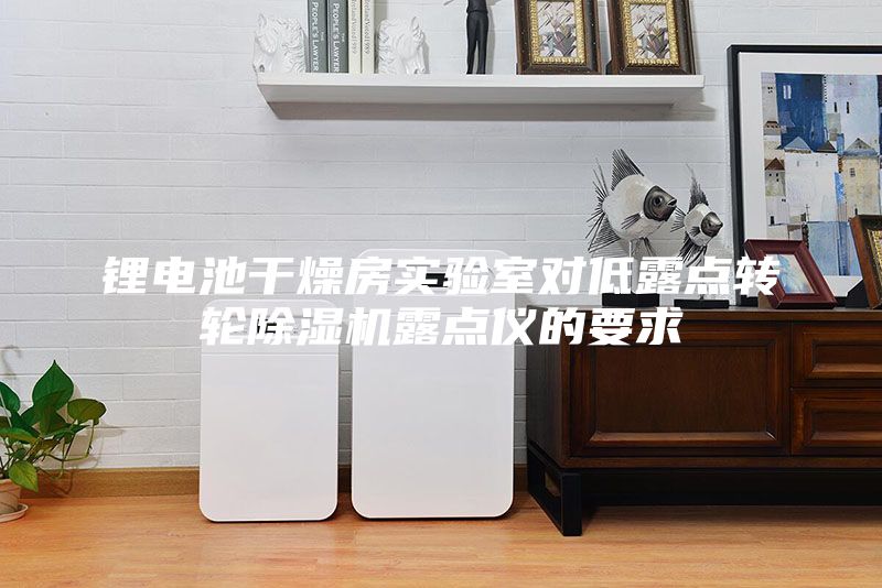 鋰電池干燥房實驗室對低露點轉輪除濕機露點儀的要求