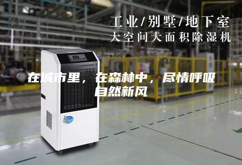 在城市里，在森林中，盡情呼吸自然新風