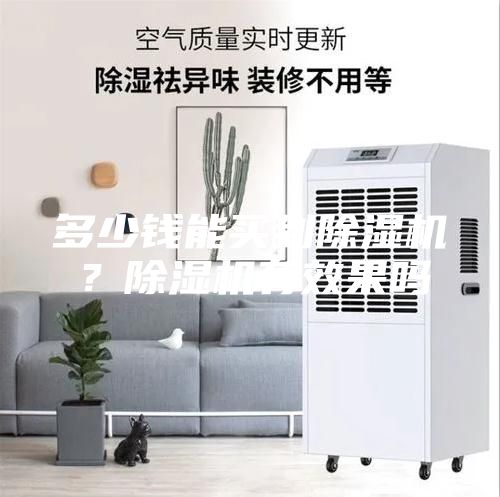 多少錢能買到除濕機？除濕機有效果嗎