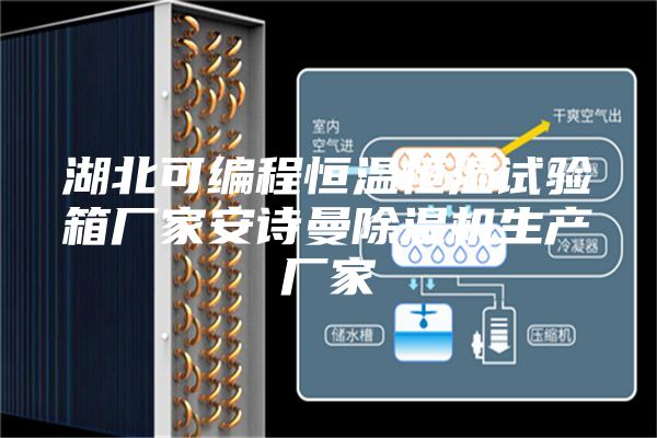 湖北可編程恒溫恒濕試驗箱廠家安詩曼除濕機生產廠家