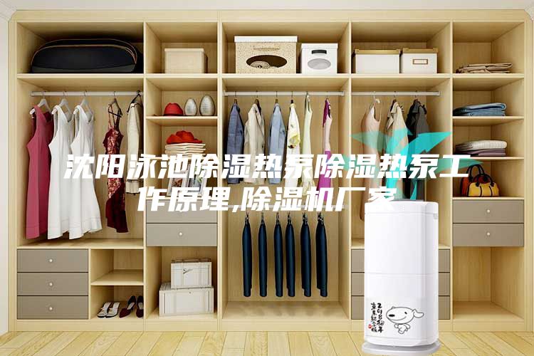 沈陽泳池除濕熱泵除濕熱泵工作原理,除濕機廠家