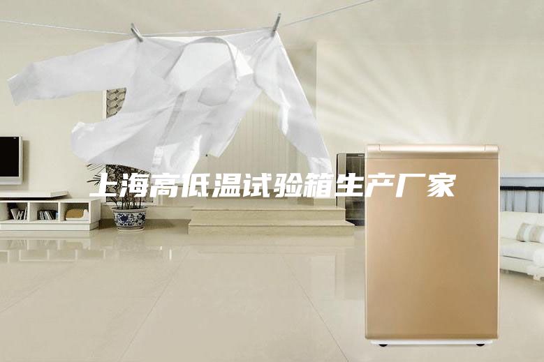 上海高低溫試驗(yàn)箱生產(chǎn)廠家