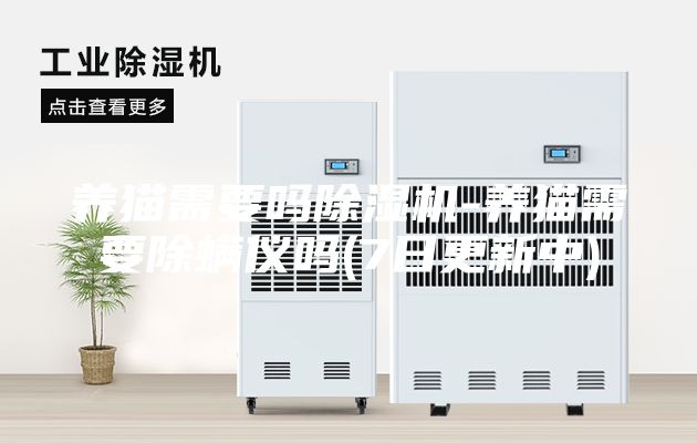 養(yǎng)貓需要嗎除濕機(jī)-養(yǎng)貓需要除螨儀嗎(7日更新中)