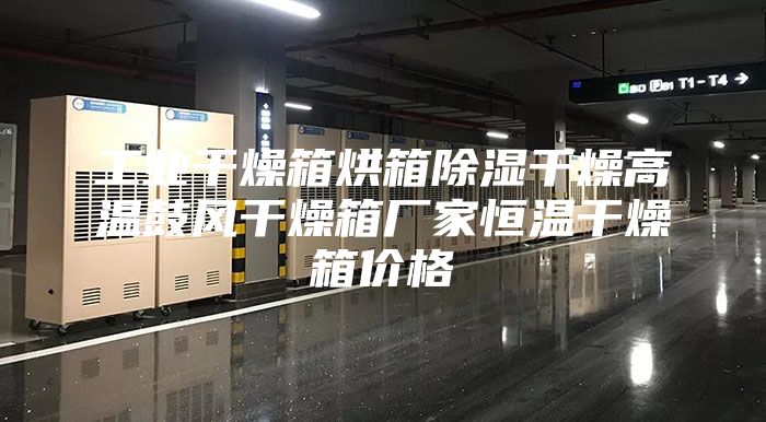 工業干燥箱烘箱除濕干燥高溫鼓風干燥箱廠家恒溫干燥箱價格